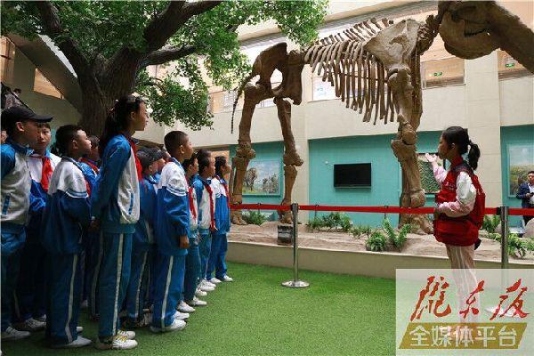 【第一眼】慶陽市博物館開展多項活動慶?！?·18國際博物館日”