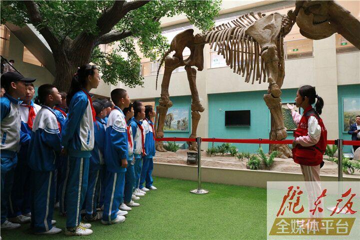 【第一眼】慶陽市博物館開展多項活動慶?！?·18國際博物館日”
