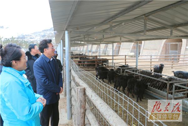 贠建民在鎮(zhèn)原縣督查脫貧攻堅等工作時強調 持續(xù)用力彌補短板鞏固提升脫貧成果 拉開架勢構建產(chǎn)業(yè)體系促進群眾增收