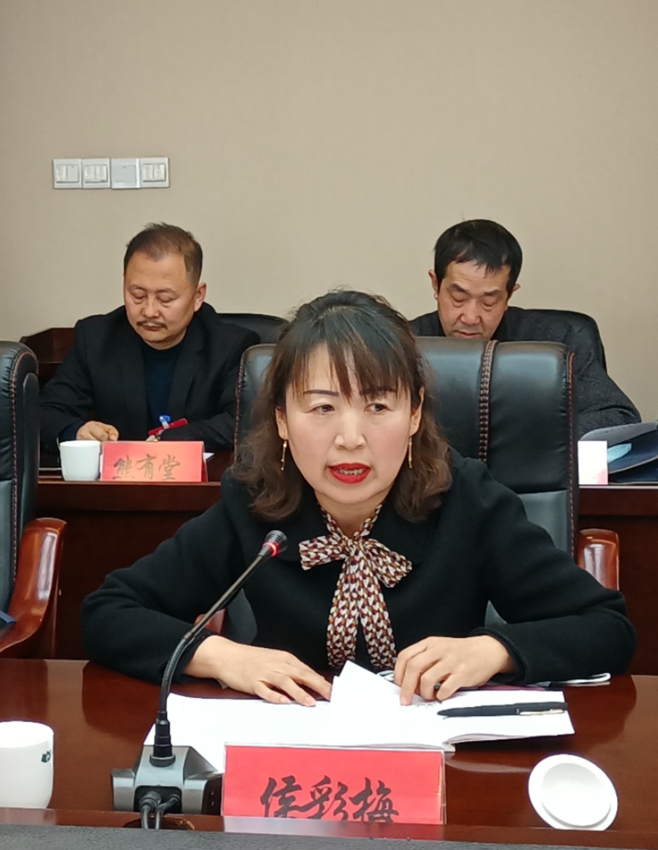 侯彩梅委員在討論發(fā)言時就規(guī)范農(nóng)村中小學(xué)體育教學(xué)提出了建議。