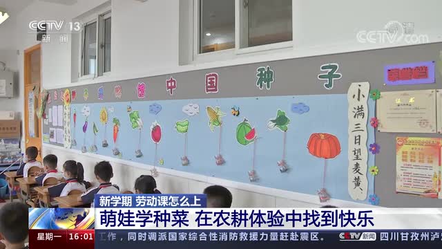 新學(xué)期，勞動(dòng)課怎么上？央視《新聞直播間》關(guān)注北師大慶陽附校農(nóng)耕體驗(yàn)課