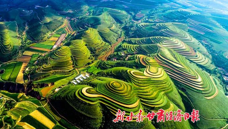 “羊”名立萬正當時——環(huán)縣念羊經(jīng)、興羊業(yè)、發(fā)羊財促進鄉(xiāng)村振興發(fā)展