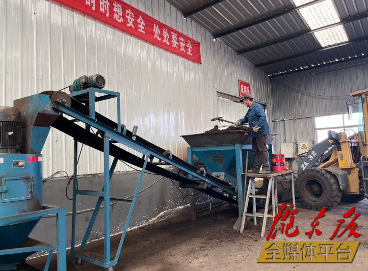 合水縣充分利用當(dāng)?shù)匦笄菁S便及秸稈回收的有機肥料“變廢為肥”。本報記者 劉萍凝 攝