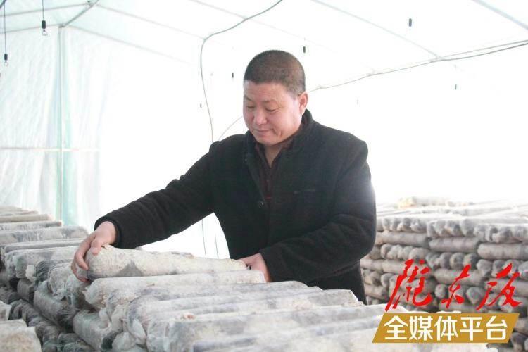 西峰區(qū)后官寨鎮(zhèn)司官寨村食用菌基地，工作人員在整理菌棒。本報記者 南力 攝