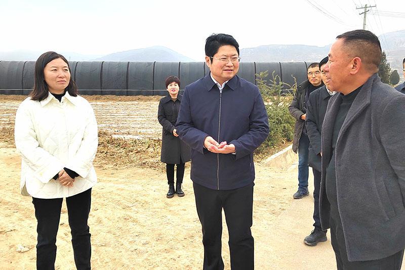 陳磊調(diào)研基層黨建、產(chǎn)業(yè)發(fā)展和項目建設工作