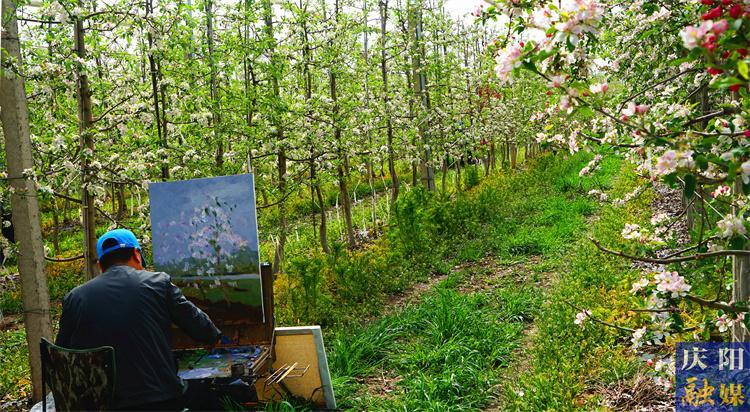慶陽(yáng)市完成早春開花類作物承保18多萬(wàn)畝