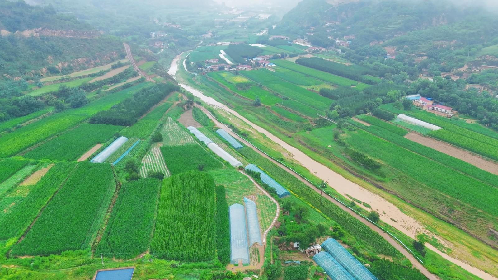 華池縣悅樂(lè)鎮(zhèn)：黨建引領(lǐng)村集體經(jīng)濟(jì)一路繁花盛開