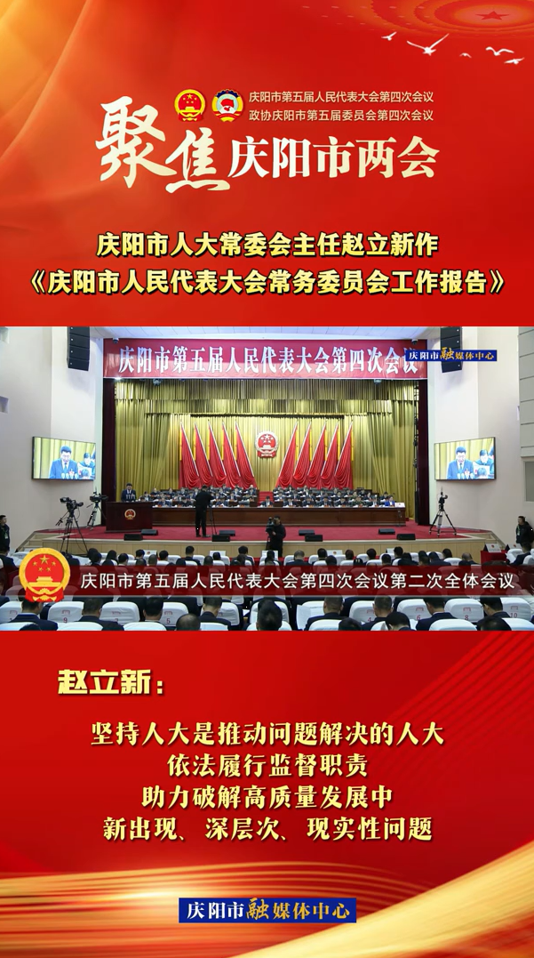 兩會(huì)V視(29)丨趙立新：堅(jiān)持人大是推動(dòng)問題解決的人大，依法履行監(jiān)督職責(zé)，助力破解高質(zhì)量發(fā)展中新出現(xiàn)、深層次、現(xiàn)實(shí)性問題