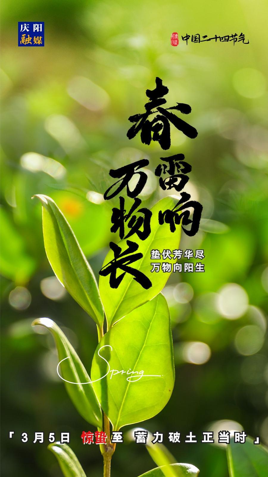 【微海報】二十四節(jié)氣丨驚蟄至，蓄力破土正當(dāng)時