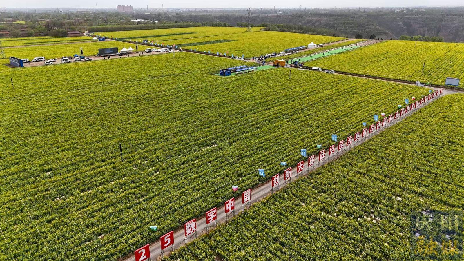 技術突破 產業(yè)集聚——賽事舉辦為低空經濟發(fā)展提供“慶陽方案”
