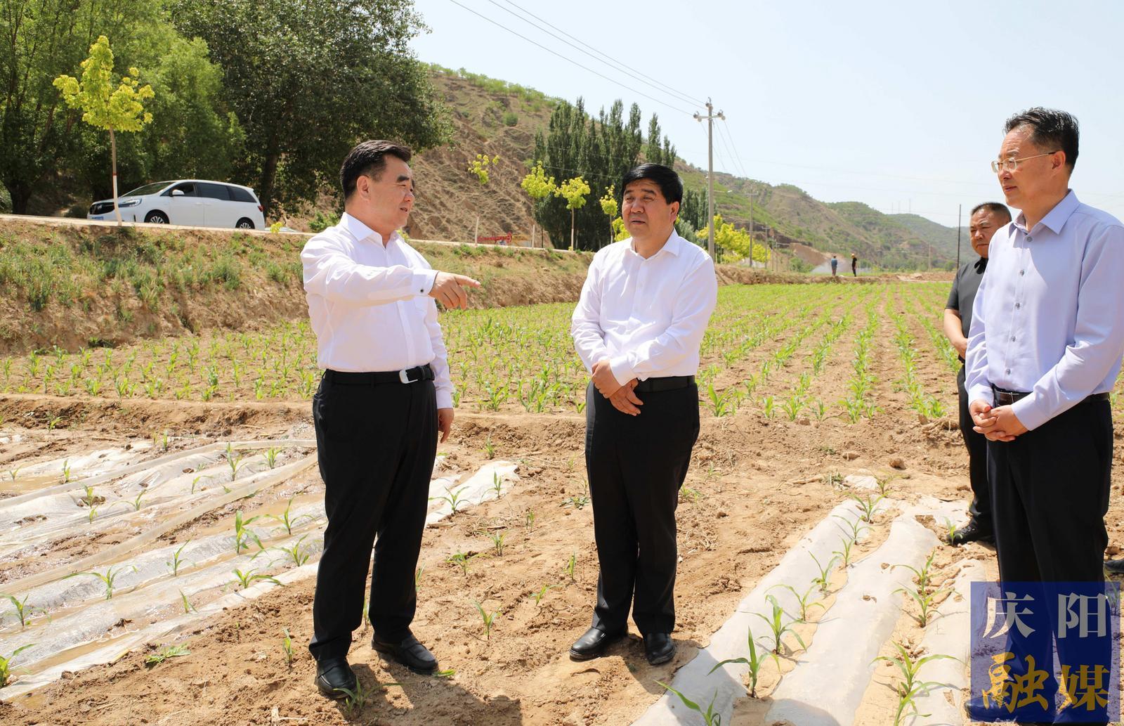 黃澤元在環(huán)縣調(diào)研時強調(diào) 有效解決突出問題推動學習教育走深走實 用足用好各類水源最大限度減少旱情影響