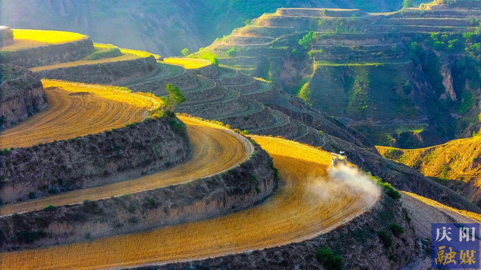 【攝影專題】金色慶陽收麥忙 農(nóng)機(jī)農(nóng)技保歸倉
