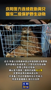 慶陽警方連續(xù)救助兩只國家二級保護(hù)野生動物